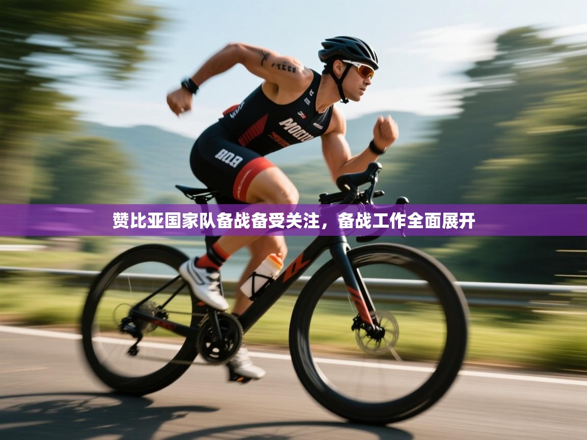 赞比亚国家队备战备受关注，备战工作全面展开