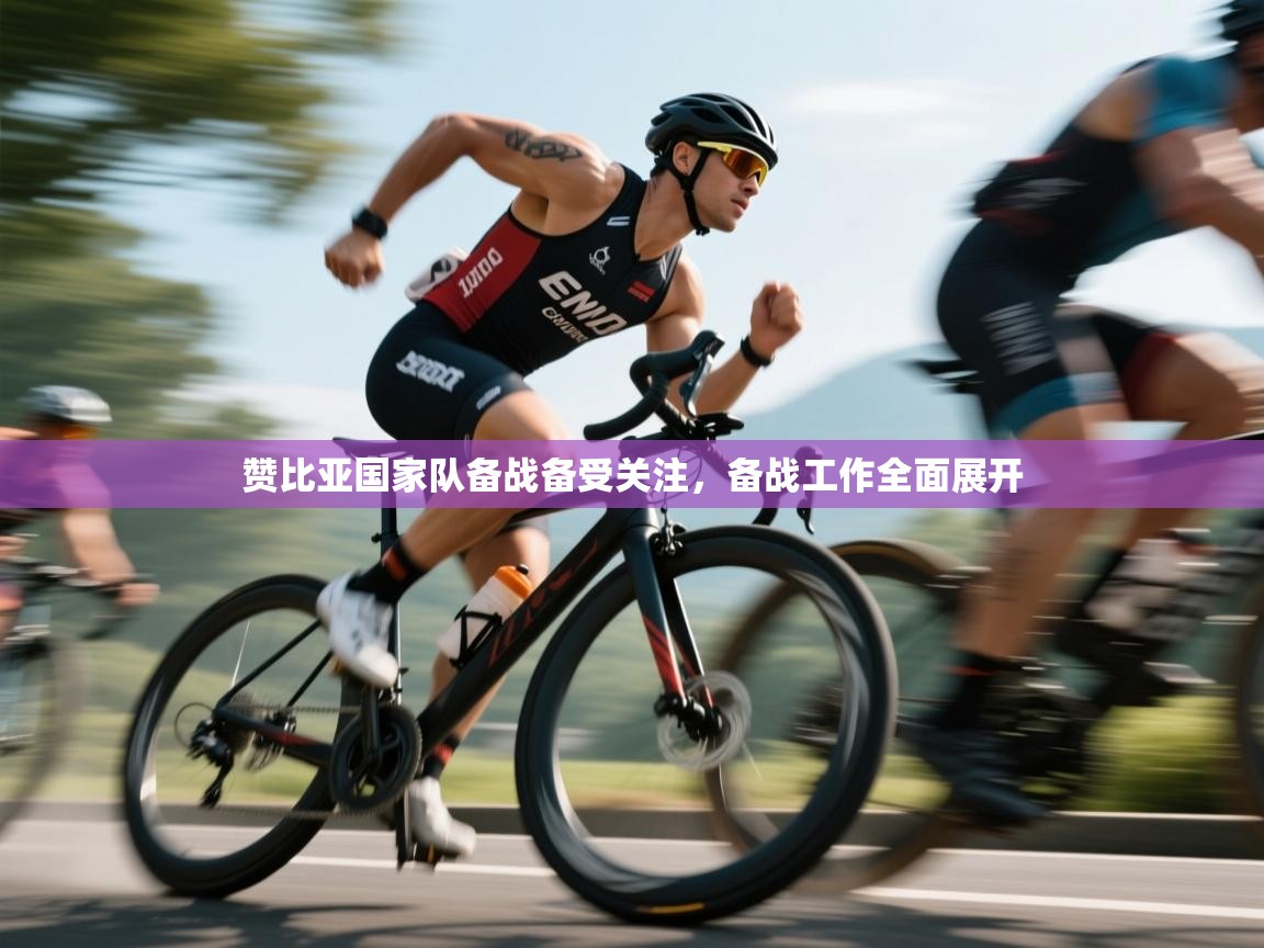 赞比亚国家队备战备受关注，备战工作全面展开  第2张