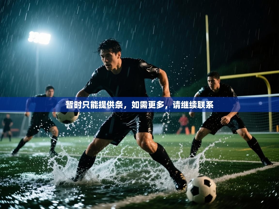 暂时只能提供条，如需更多，请继续联系  第1张