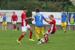 米乐体育官网首页-帕尔梅拉斯新援首秀引期待，世俱杯表现备受关注