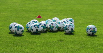 米乐体育官方网站入口-沙尔克04客场豪胜，实现连胜壮举，沙尔克04客场豪胜,实现连胜壮举吗