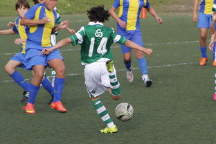 米乐m6官网入口登录-广州富力队主场作战连胜，积分榜上升势头强劲，广州富力队赛程